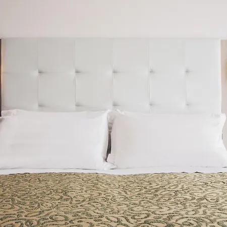 Bassetti チェルヴィア